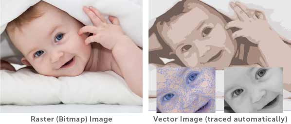 difference of raster and vector graphic