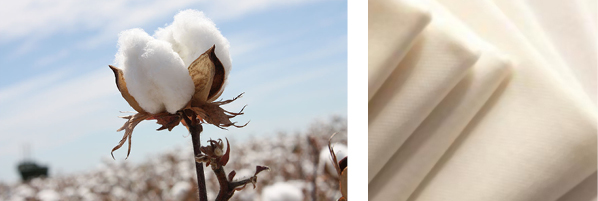 Cotton Fibre made in fabric