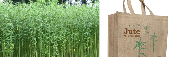 Jute fibre for fabric
