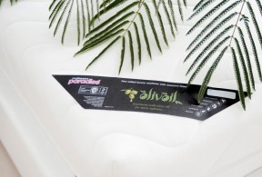 Self-adhesive polyester satin label