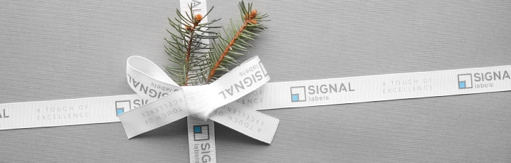Our gift to you! Download Printable Organisers and planners for 2017