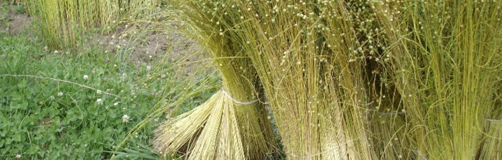 Natural vegan fabrics mostly used from manufacturers of textile products