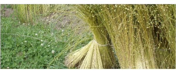 Natural vegan fabrics mostly used from manufacturers of textile products